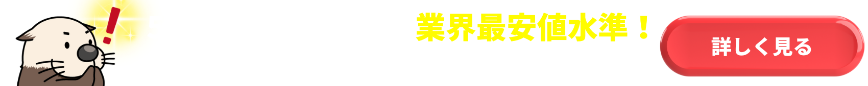 ラッコドメイン バナー