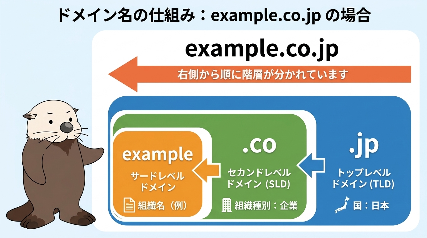 example.co.jpのドメイン名が右から順に階層化されていることをラッコが示す図解