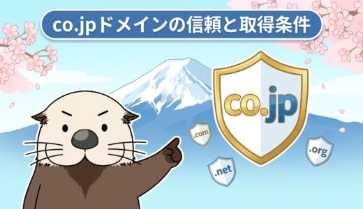 ラッコがco.jpドメインの取得条件や他のTLDとの違いを解説する図解