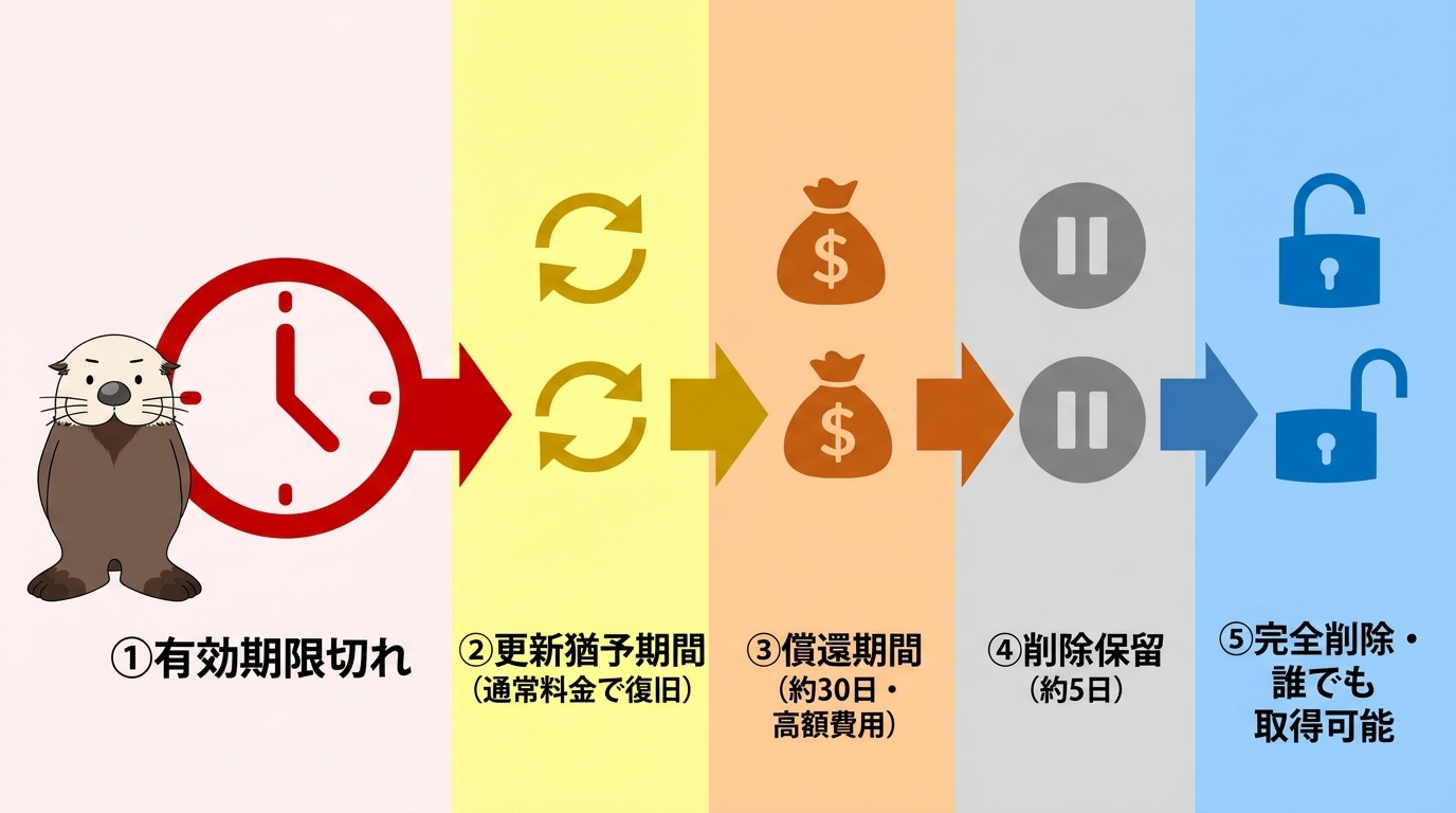 gTLDドメインの失効から削除までの流れを示す図解